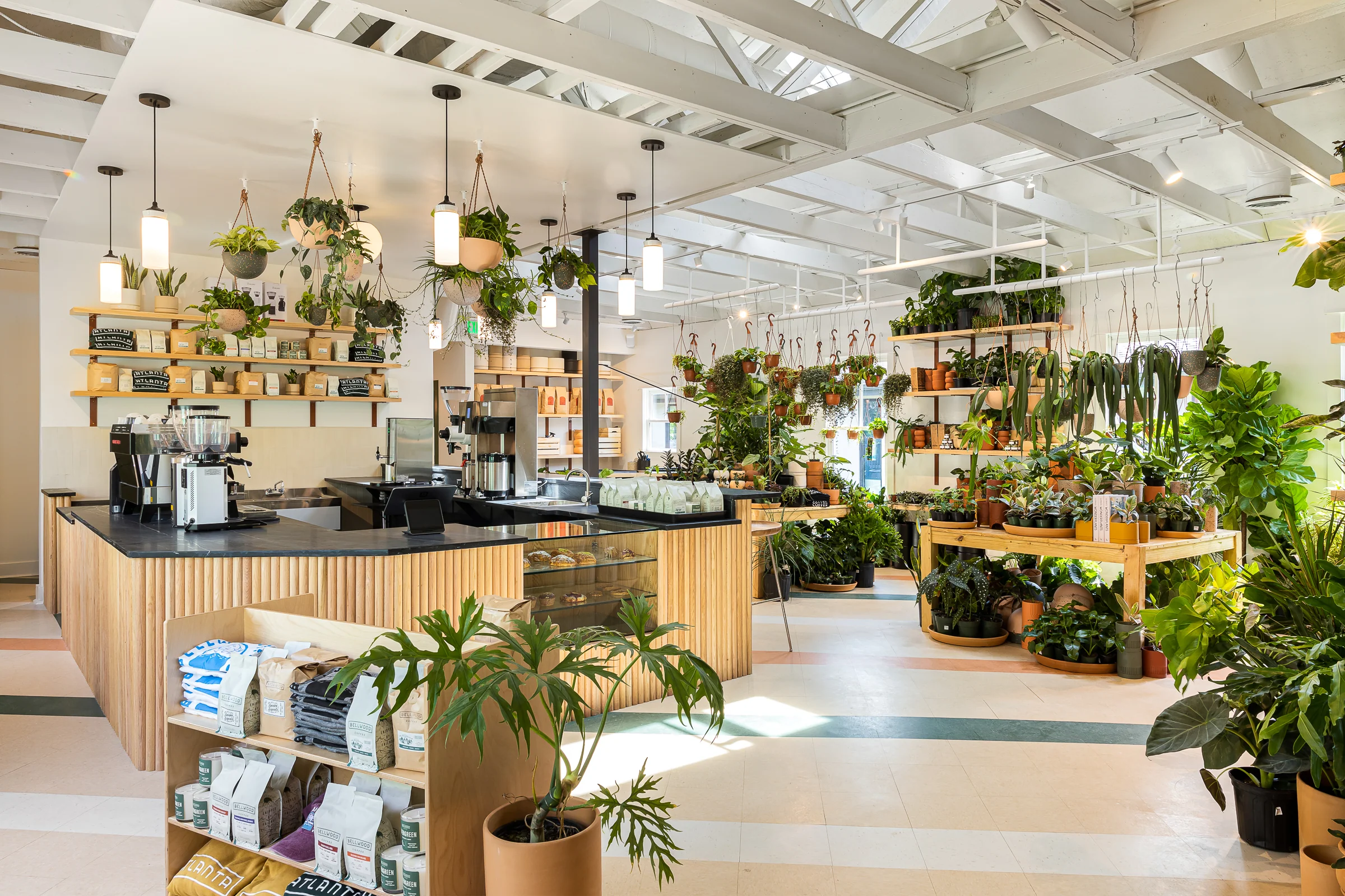 Cultivate Your Urban Jungle